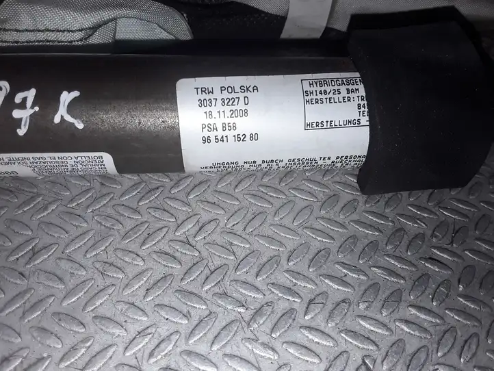 Citroen C4 I Picasso (2006 - 2013) 30373227D Боковая подушка безопасности шторка — фото 3