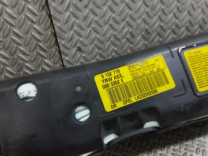 Opel Zafira B (2003 - 2006) 9132718 Боковая подушка безопасности шторка — фото 3
