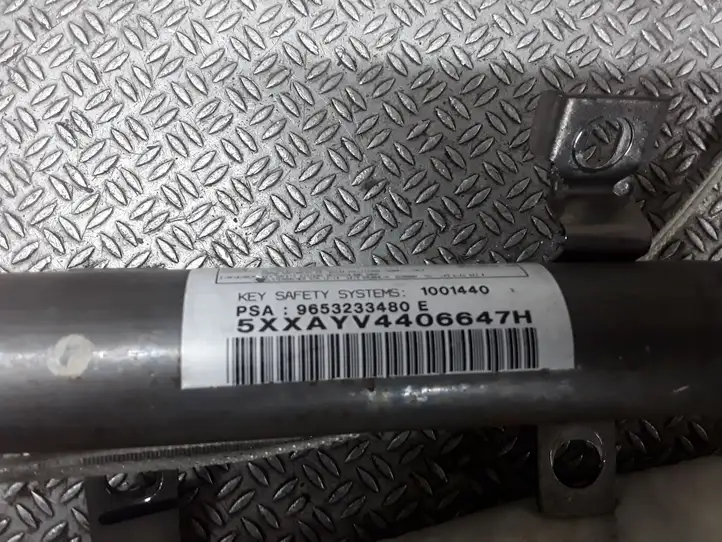 Peugeot 307 (2005 - 2008) 9653233480E Боковая подушка безопасности шторка — фото 2