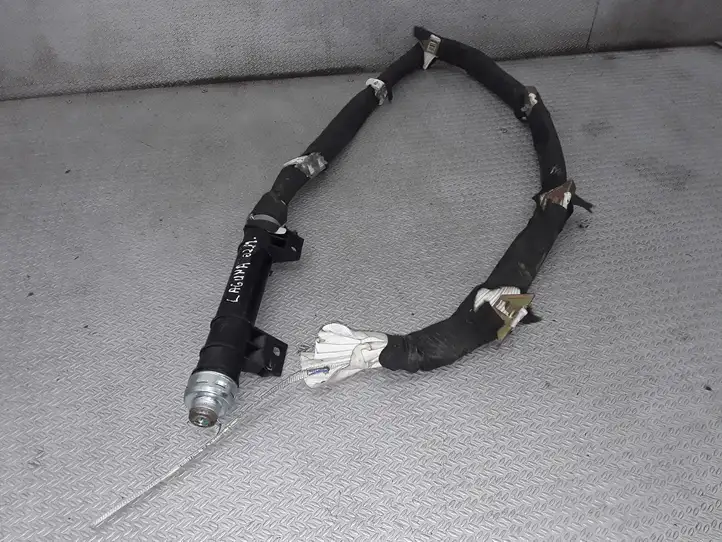 Renault Laguna II (2001 - 2005) 550806600 Боковая подушка безопасности шторка — фото 1