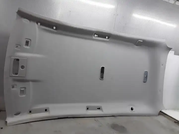 Ford Focus (2011 - 2015) Потолочная обшивка — фото 1