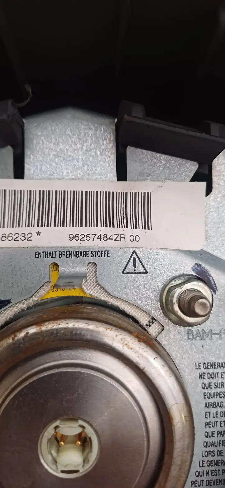Peugeot 206 (1998 - 2012) 96257484ZR Подушка безопасности руля — фото 2