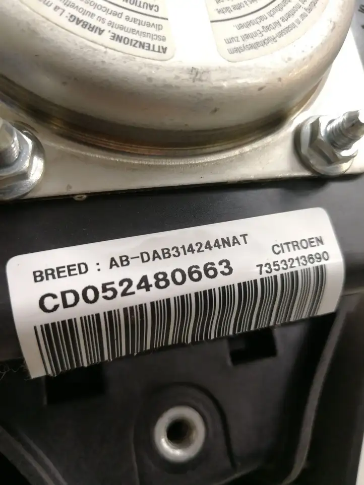 Citroen Jumper (2002 - 2006) 7353213690 Подушка безопасности руля — фото 4