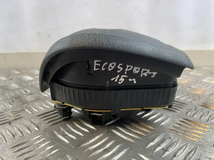 Ford Ecosport (2013 - 2018) 0589P1000175 Подушка безопасности руля — фото 5
