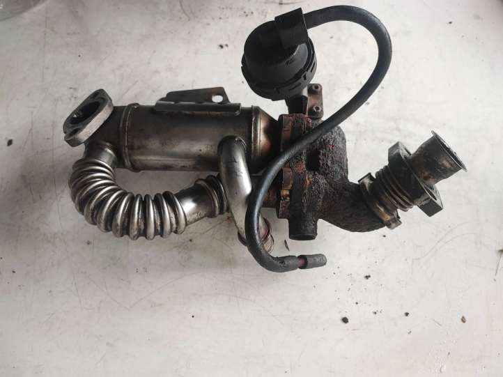 Renault Trafic II (X83) (2002 - 2014)  A2C53212978 Охладитель EGR