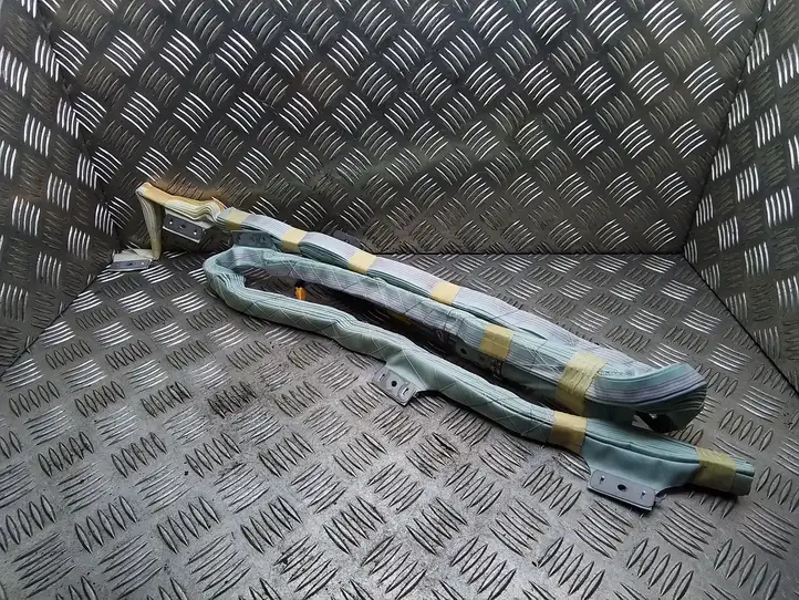Toyota Prius (XW20) (2003 - 2009) Боковая подушка безопасности шторка — фото 2