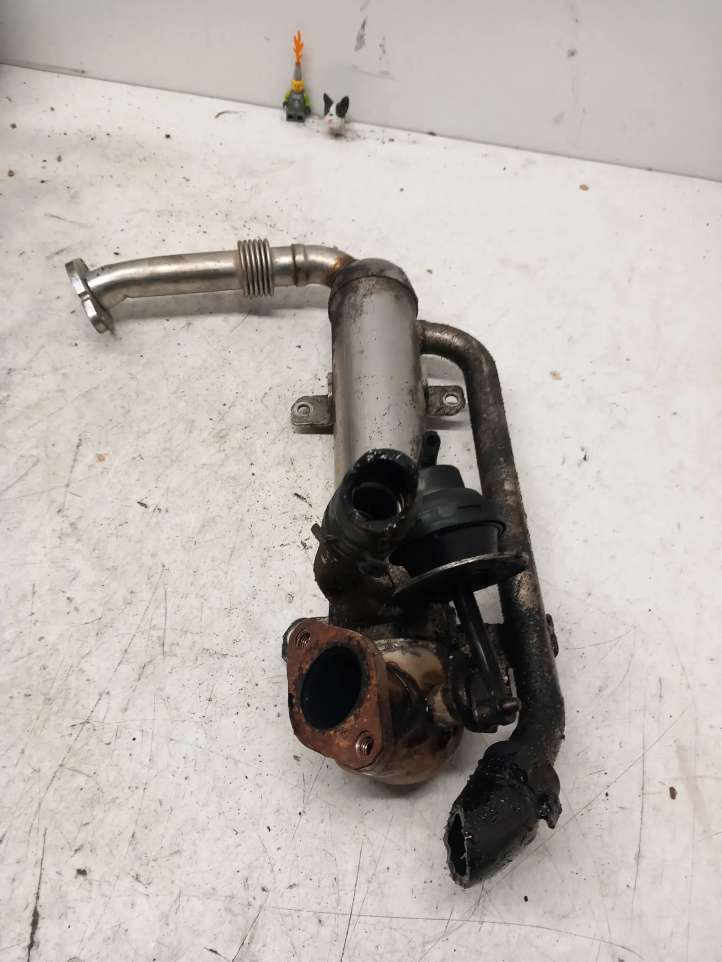 Volkswagen PASSAT B6 (2005 - 2010)  03G131512S Охладитель EGR