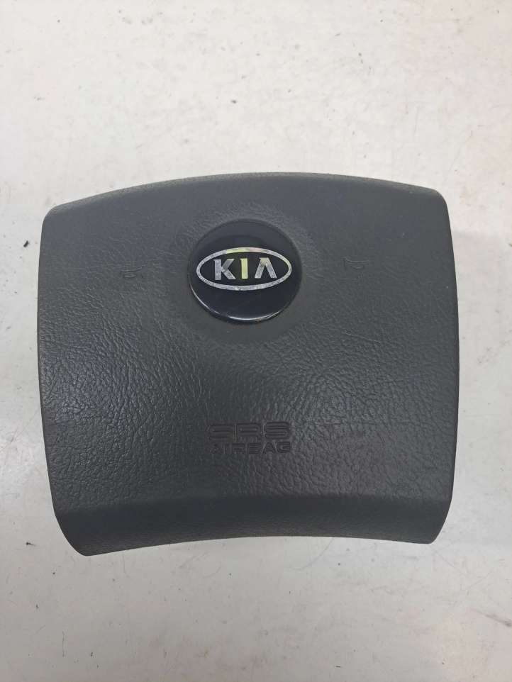 569103E010CQ KIA Sorento Vairo oro pagalvė