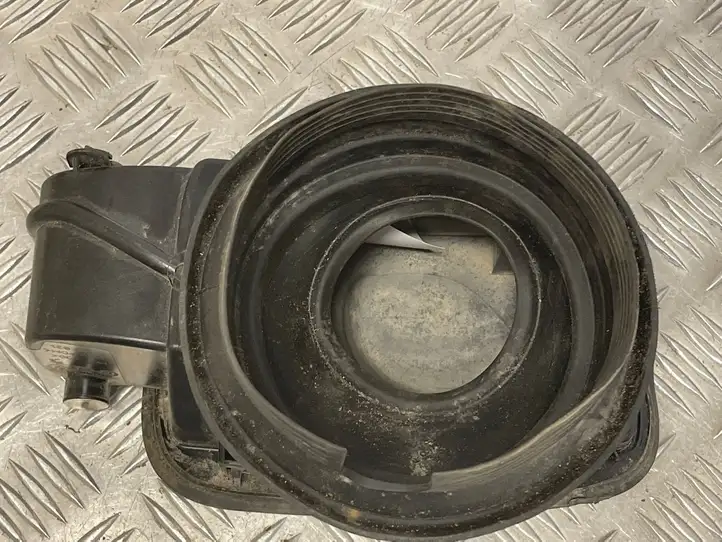 BMW X5 E70 (2006 - 2013) 7160631 Крышка топливного бака — фото 2