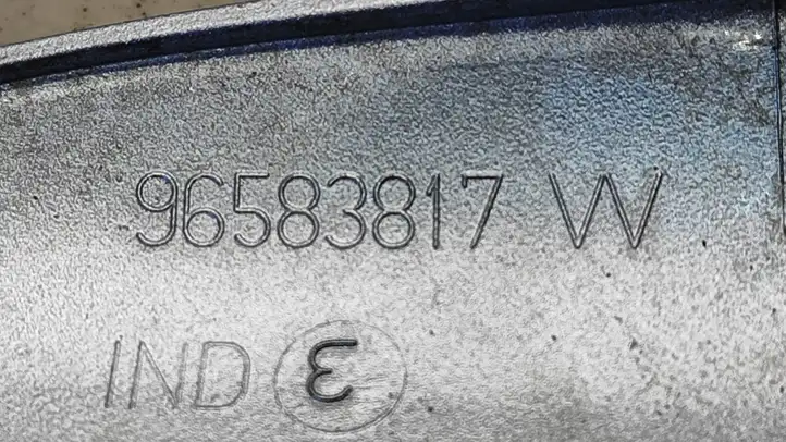 Citroen C4 I Picasso (2006 - 2013) 96590339XT Крышка рейлинга — фото 3