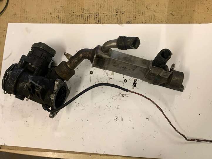 Mercedes-Benz E W211 (2002 - 2009)  A6461400175 Охладитель EGR