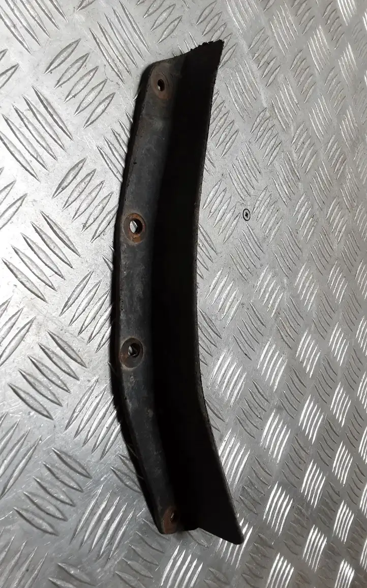 Lexus GS 300 350 430 450h (2004 - 2007)   Передний брызговик