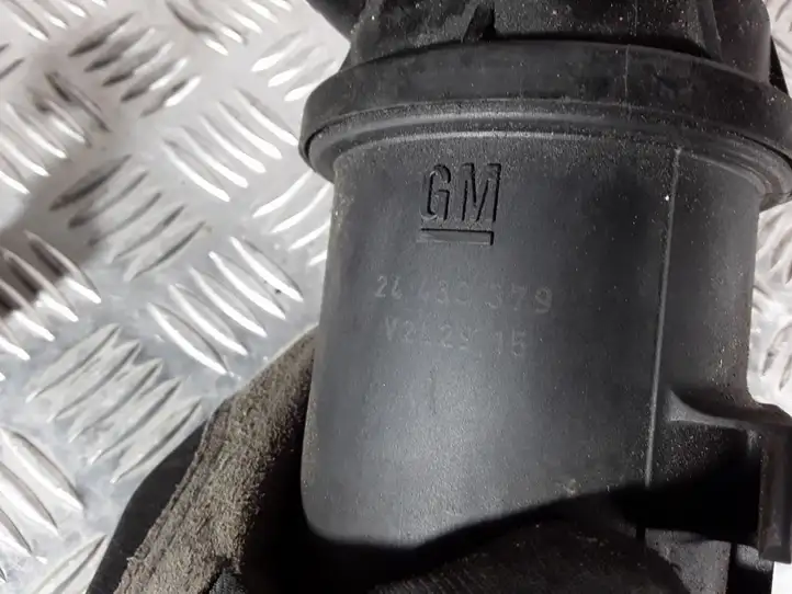 Saab 9-3 Ver2 (2008 - 2016) 24430379 Корпус топливного фильтра — фото 2