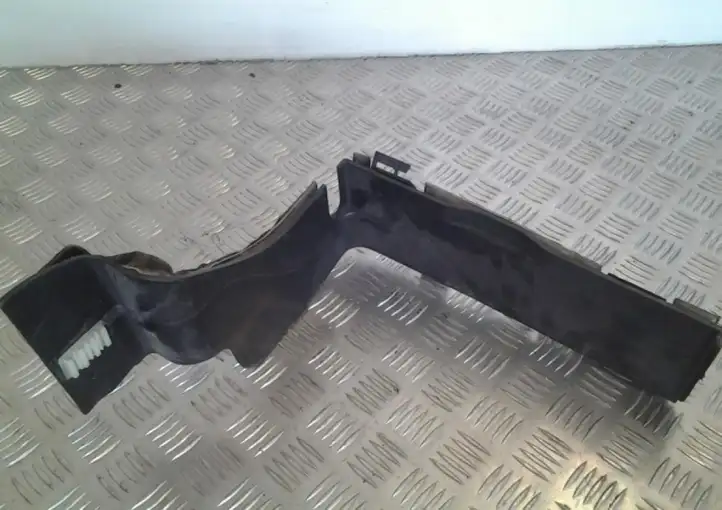 Land Rover Range Rover Sport L320 (2005 - 2009) DWI500023 Перегородка аккумулятора — фото 3