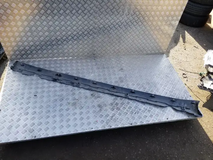 Tesla Model 3 (2017 - 2023) 108982900D Порог кузова — фото 2