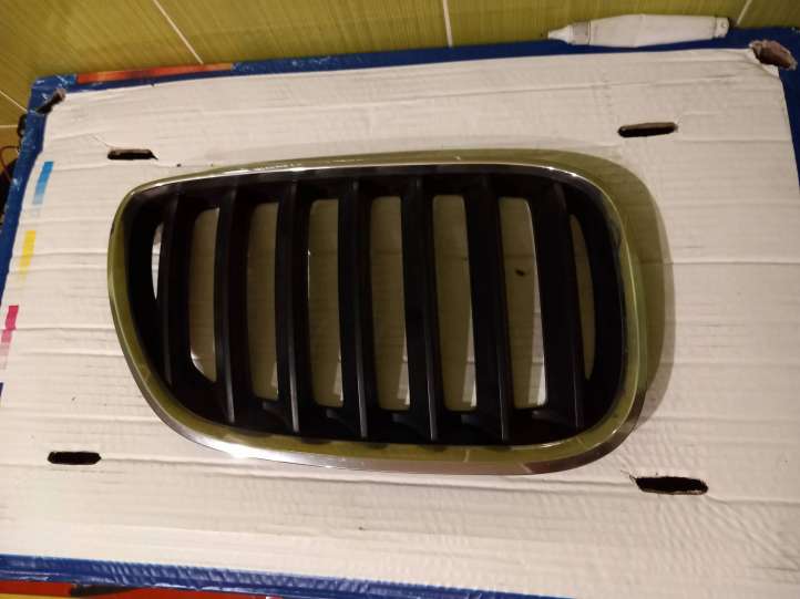 51137113738 BMW X5 E53 Grotelės priekinės