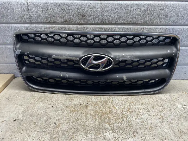 Hyundai Santa Fe (2000 - 2005) Другая часть кузова — фото 1