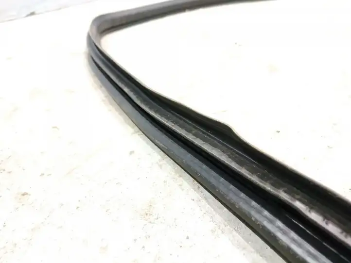 Mercedes-Benz A W169 (2004 - 2012)   Уплотнительная резина стекла передней двери