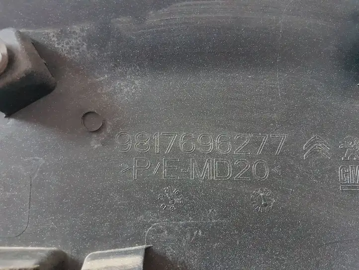 Citroen Berlingo (2018 - ) 9817696277 Молдинг передней двери — фото 3