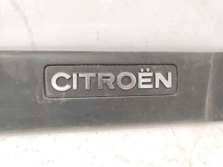 Citroen Berlingo (2003 - 2007) 9619030477 Молдинг передней двери — фото 5