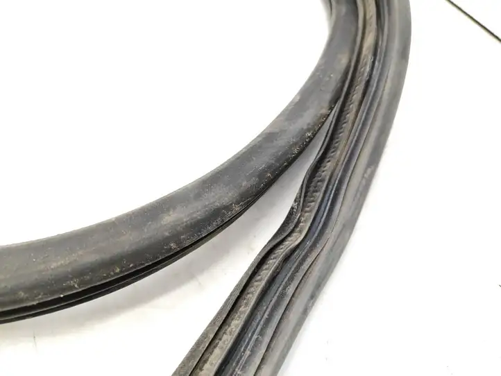 Citroen Berlingo (2003 - 2007) Уплотнитель передней двери (кузов) — фото 2