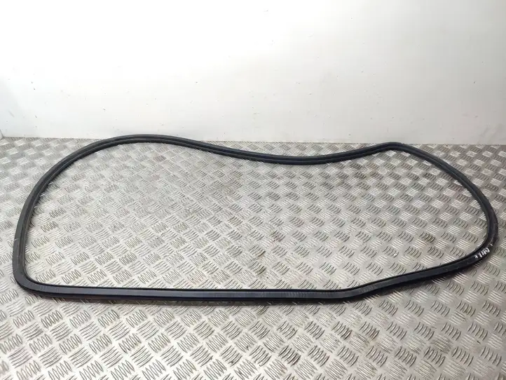 Audi Q7 (2005 - 2009)   Уплотнительная резина передней двери (на кузове)