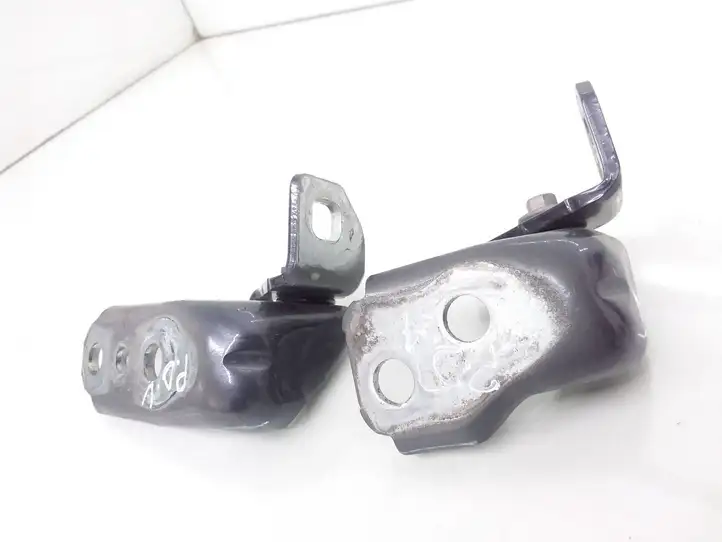 Ford Ecosport (2013 - 2018) Bb537822810ah Петли передней двери (комплект) — фото 1