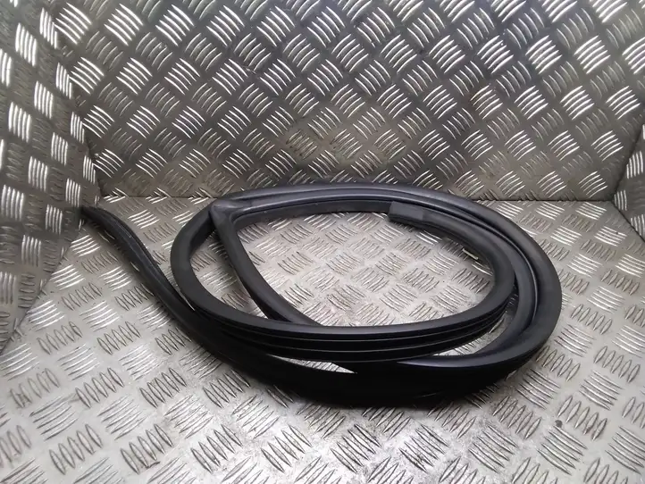 Toyota Corolla Verso AR10 (2004 - 2009) Уплотнитель передней двери (кузов) — фото 1