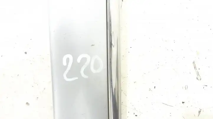 Mercedes-Benz S W220 (1998 - 2006)   Отделка (молдинг) передней двери