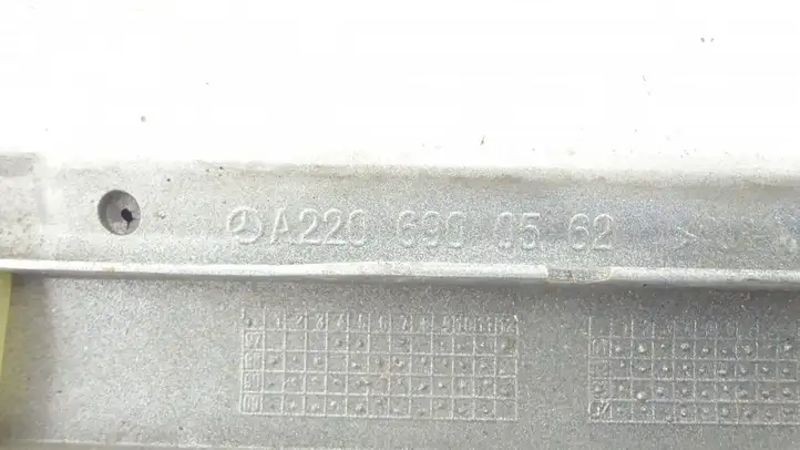 Mercedes-Benz S W220 (1998 - 2006)   Отделка (молдинг) передней двери