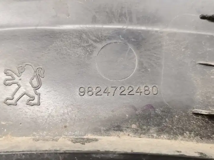 Peugeot 208 (2019 - ) 9824722480 Задняя колесная арка — фото 3