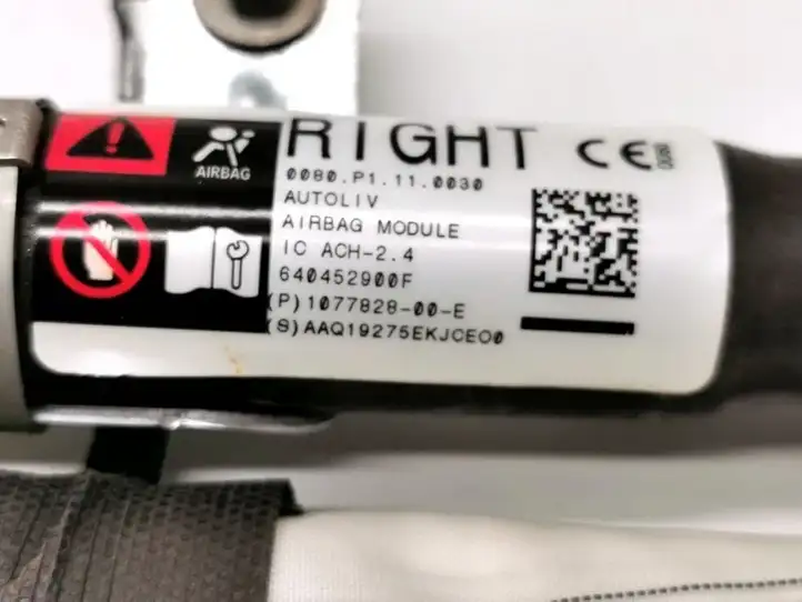 Tesla Model 3 (2017 - 2023) 1077828-00-E Боковая подушка безопасности шторка — фото 2