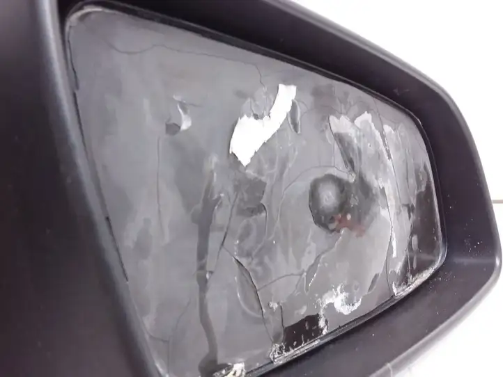 Opel Zafira B (2003 - 2006) 13131972 Боковое зеркало с электроприводом — фото 2