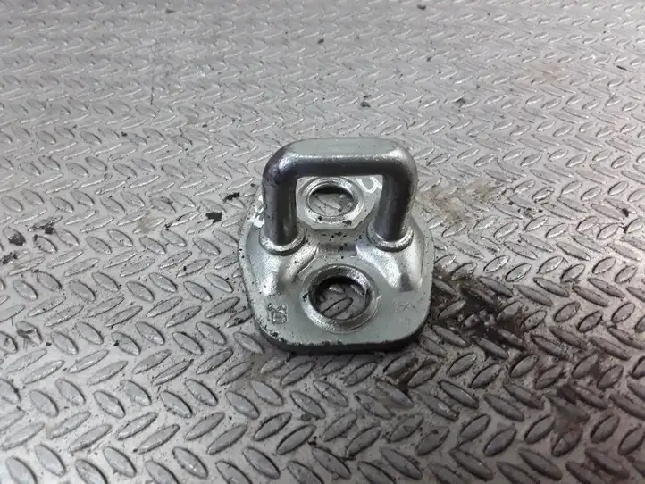 Renault Espace - Grand espace IV (2004 - 2014) Петля замка передней двери — фото 1