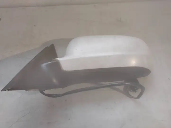 Volkswagen PASSAT B5 (1997 - 2000)  E1020479 Зеркало боковое с электрическим приводом