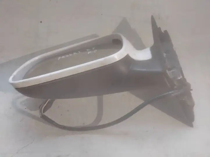 Volkswagen PASSAT B5 (1997 - 2000)  E1020479 Зеркало боковое с электрическим приводом