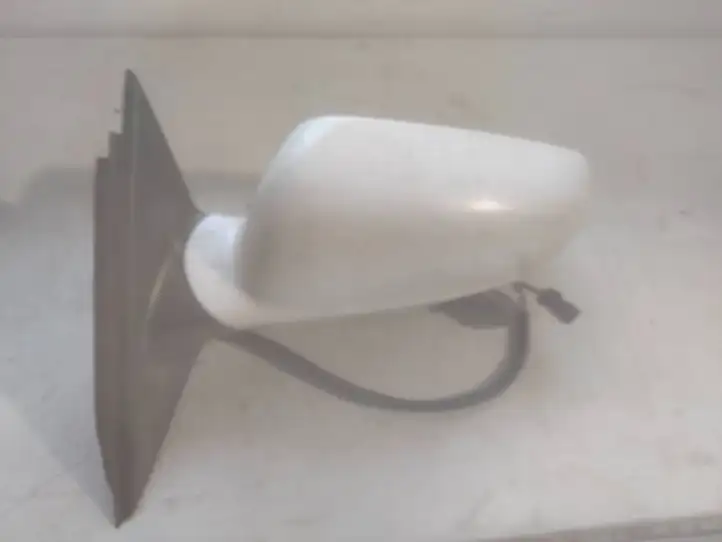 Volkswagen PASSAT B5 (1997 - 2000)  E1020479 Зеркало боковое с электрическим приводом