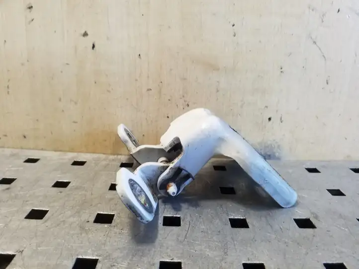 Dacia Sandero III (2016 - ) Нижняя петля передней двери — фото 4