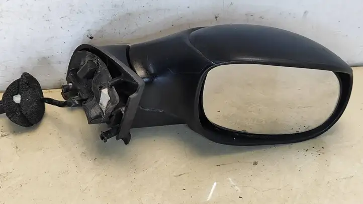 Citroen C3 (2002 - 2009) E2011019 Боковое зеркало с электроприводом — фото 3