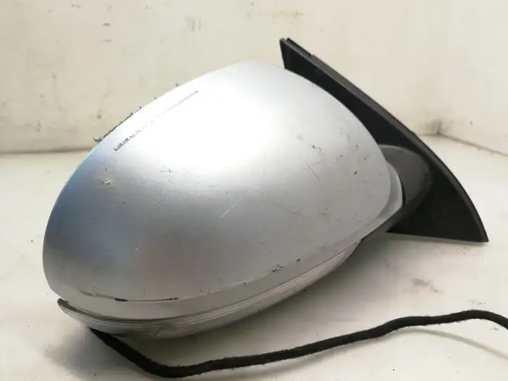 Volkswagen PASSAT B6 (2005 - 2010)  E1010781 Зеркало боковое с электрическим приводом