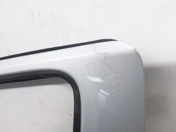 Nissan NV200 (2009 - ) Дверь — фото 3