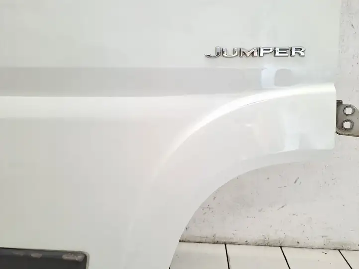 Citroen Jumper (2007 - 2013) Дверь — фото 20