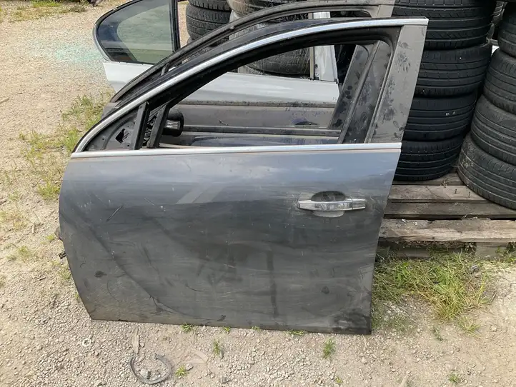 Opel Insignia A (2008 - 2017) Дверь — фото 1
