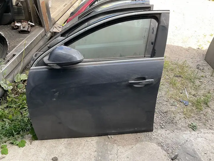Opel Insignia A (2008 - 2017) Дверь — фото 1
