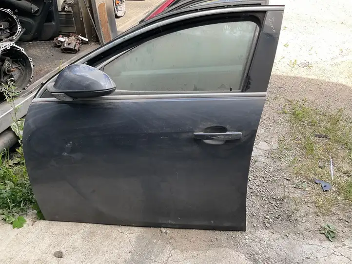 Opel Insignia A (2008 - 2017) Дверь — фото 2