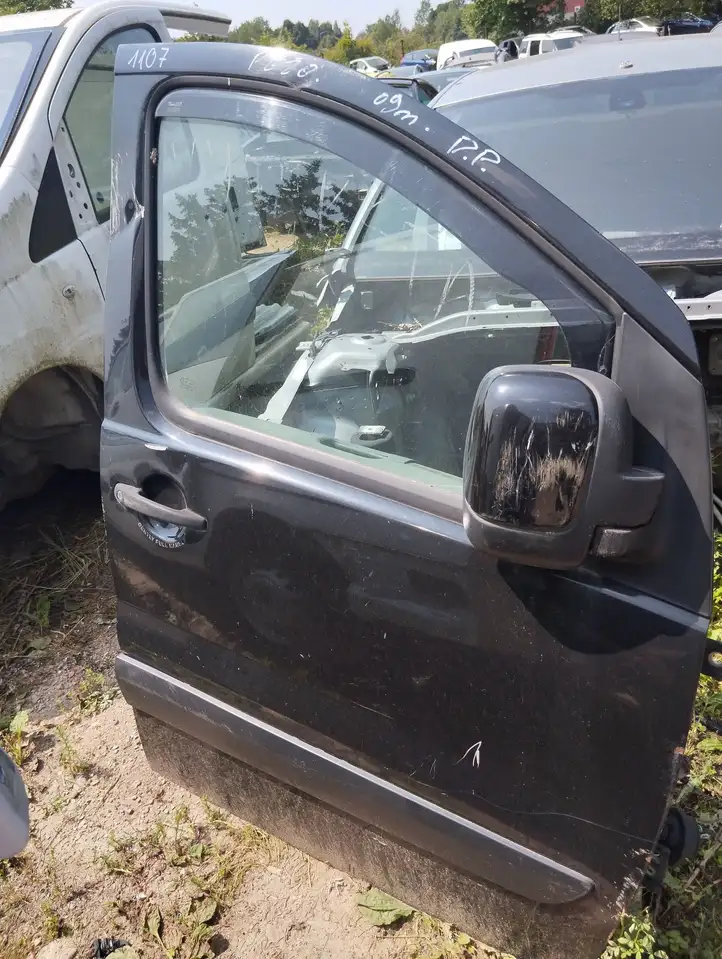 Peugeot Expert (2007 - 2016) Дверь — фото 1