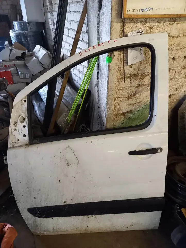 Citroen Jumpy (2007 - 2016) Дверь — фото 1