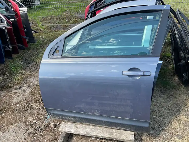 Nissan Qashqai (2006 - 2010) Дверь — фото 1