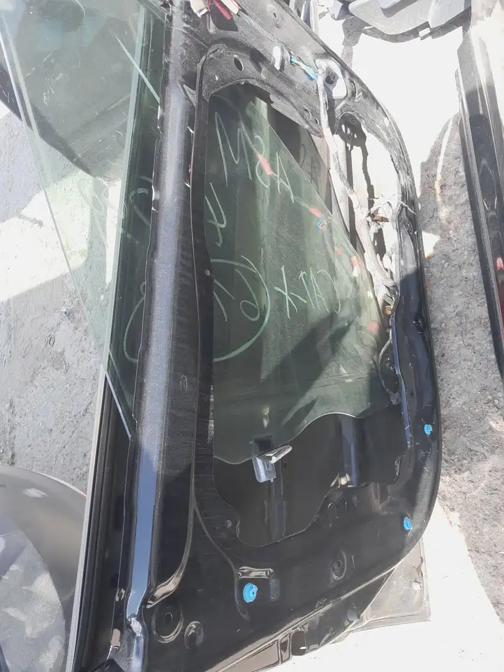 Hyundai Santa Fe (2000 - 2005) Дверь — фото 3