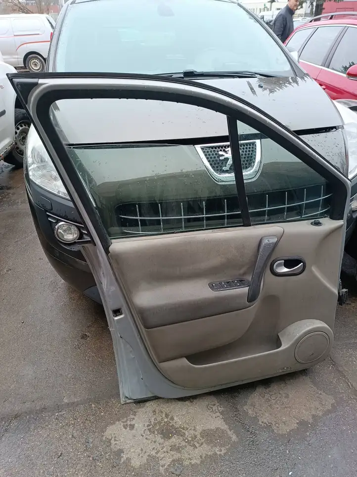 Renault Scenic II - Grand scenic II (2003 - 2006) Дверь — фото 2